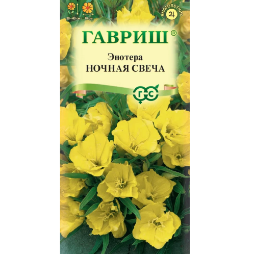 Энотера миссурийская Ночная свеча  0_2гр_10