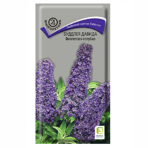 Буддлея Давида Фиолетово-голубая  0_01гр_10