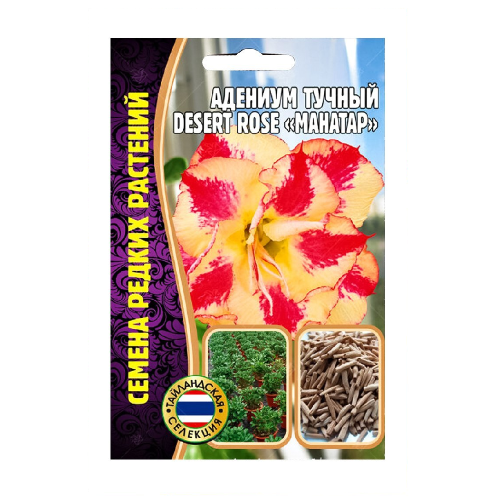 Адениум DesertRose Махатап тучный  3 шт_10