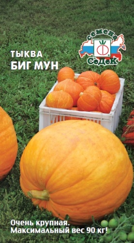 Тыква Биг мун  2гр_10