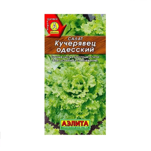 Салат Кучерявец Одесский п_кочанный  0_5гр_10