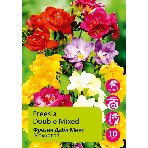 Фрезия Дабл Микс махровая 10шт 5_6_Freesia Double Mixed