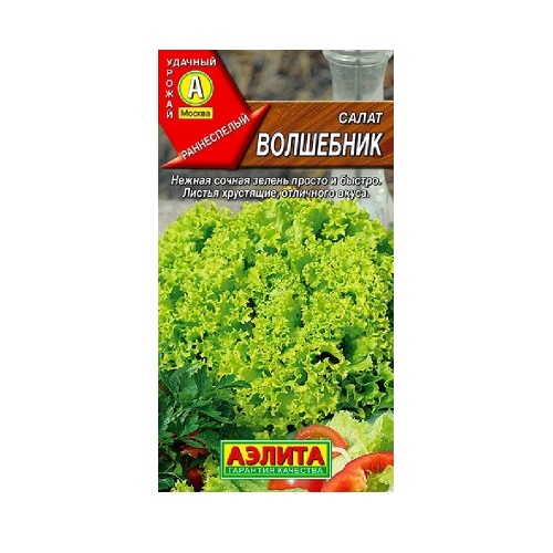 Салат Волшебник  0_5гр_10