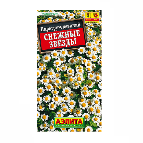 Пиретрум Снежные звезды  7шт_10