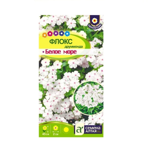 Флокс Белое море  0_1-0_05гр_10