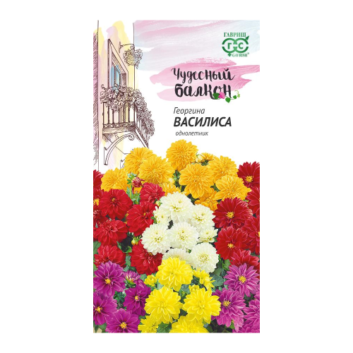 Георгина Василиса_Чудесный балкон  0_3гр_10