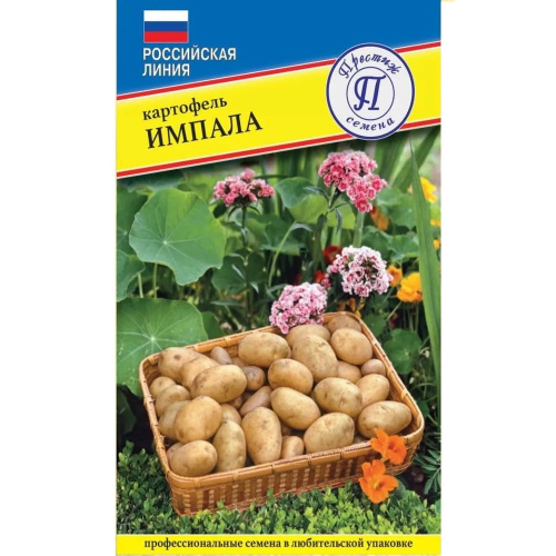 Картофель Импала  0_05 гр _10