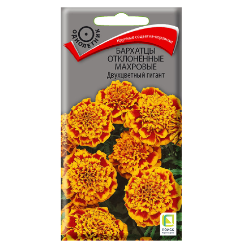 Бархатцы Двухцветный гигант отклоненные махровые  0_4гр_10