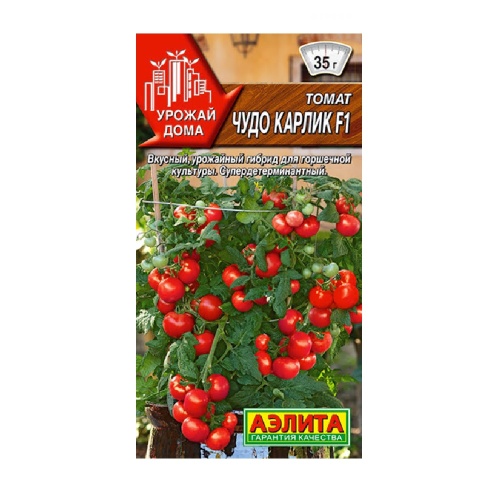 Томат Чудо карлик F1  10шт_10