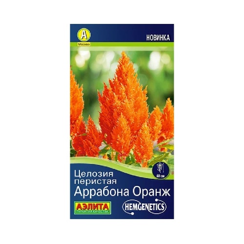 Целозия перистая Аррабона оранж 7шт _10