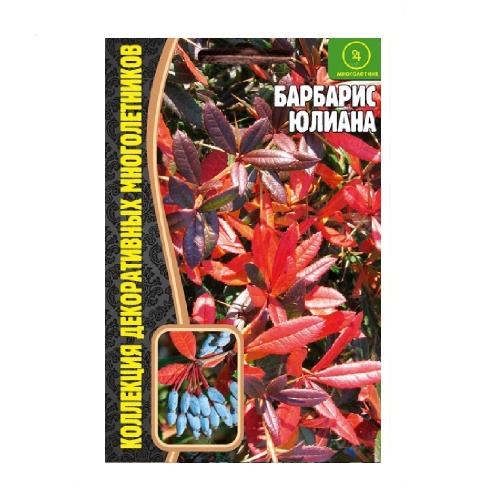 Барбарис Юлиана 5шт_10