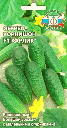 Огурец Карлик F1  0_2гр_10