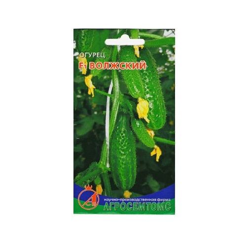 Огурец Волжский  8шт_10_50