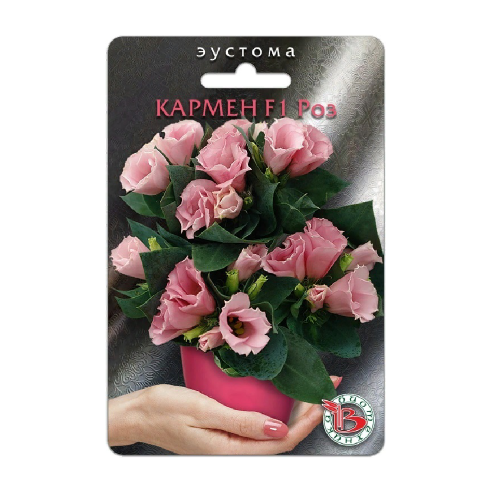 Эустома Кармен F1 Роз горшечная  5шт_5_10