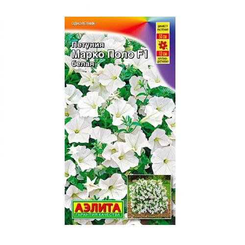 Петуния Марко Поло F1 Белая 7шт_10