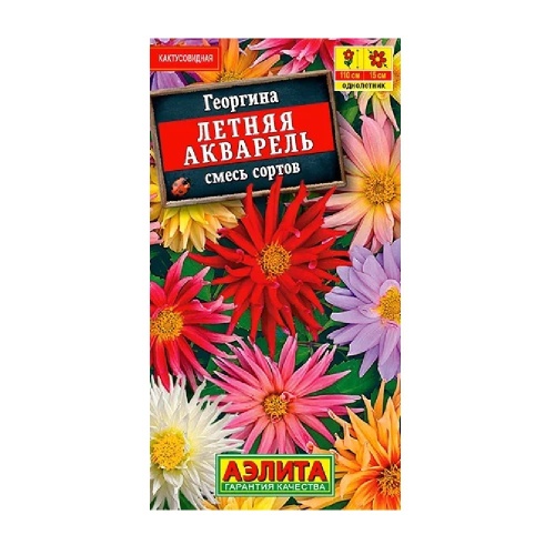 Георгина Летняя акварель 0_2гр  _10