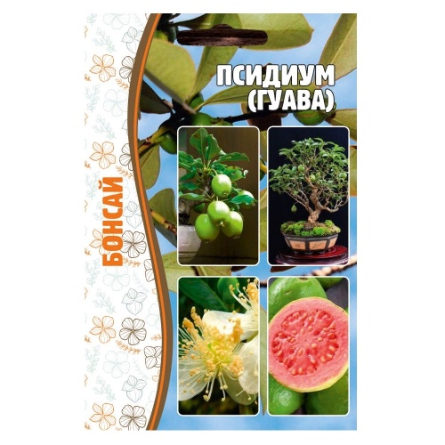 Псидиум (Гуава) Бонсай 10шт_10