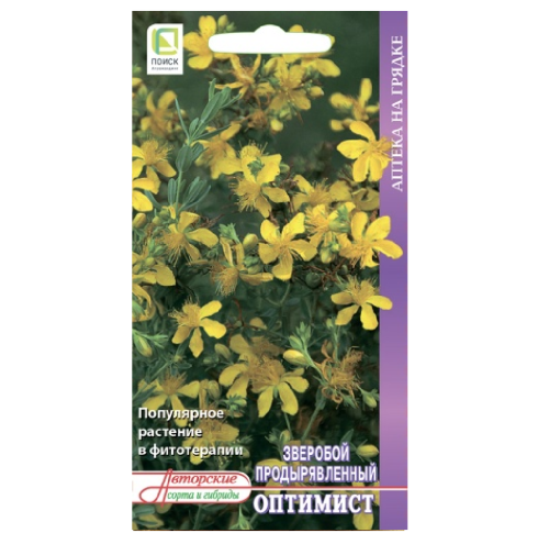 Зверобой Оптимист продырявленный_Аптека на грядке0_1гр_10