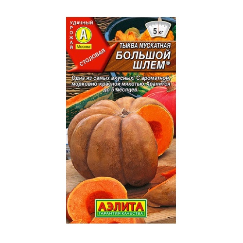 Тыква Большой шлем 1гр  _10