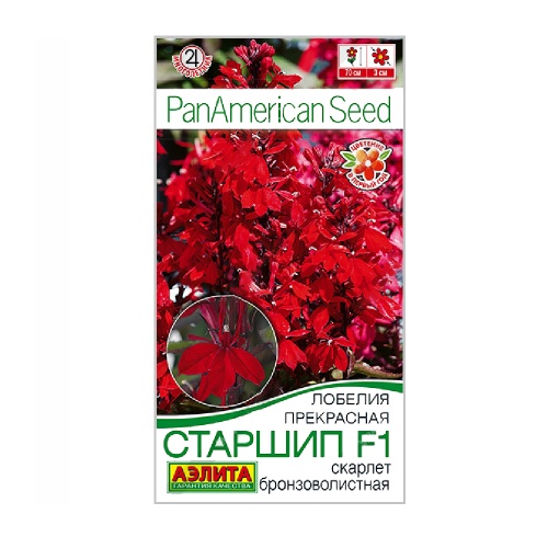 Лобелия Старшип F1 скарлет бронзоволистная  5 шт_10