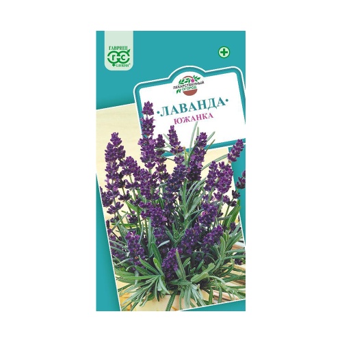 Лаванда узколистная Южанка  0_2гр_10