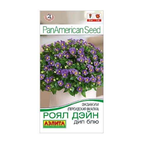 Экзакум (Персидская фиалка) Роял дэйн дип блю 4шт  _10