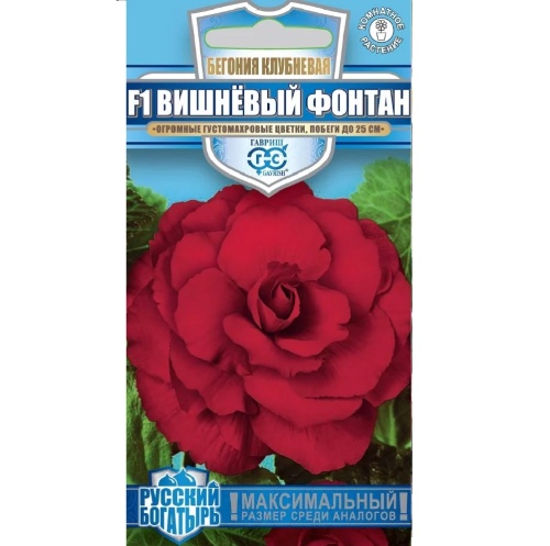 Бегония Вишневый фонтан F1_Русский богатырь  4шт_10