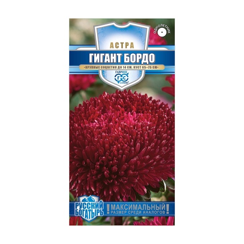 Астра Гигант бордо_Русский богатырь  0_05гр_10