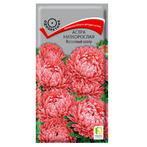 Астра низкорослая Лососевый ковер  0_2гр_10