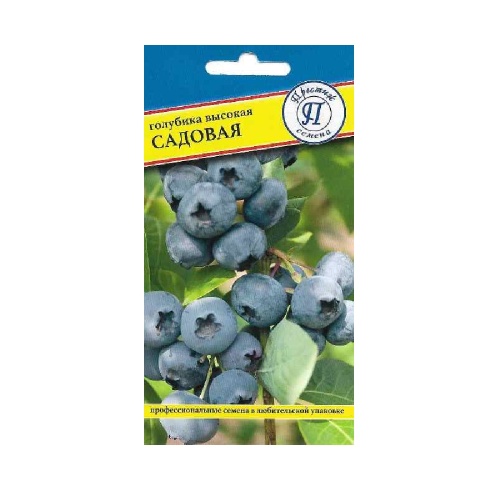 Голубика Садовая  0_05 гр _10