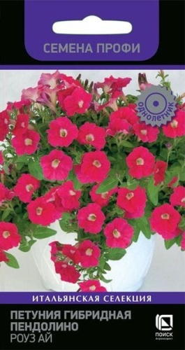 Петуния Пендолино Роуз Ай гибридная  5шт_10
