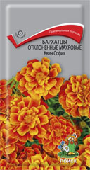 Бархатцы Квин София отклоненные махровые  0_4гр_10