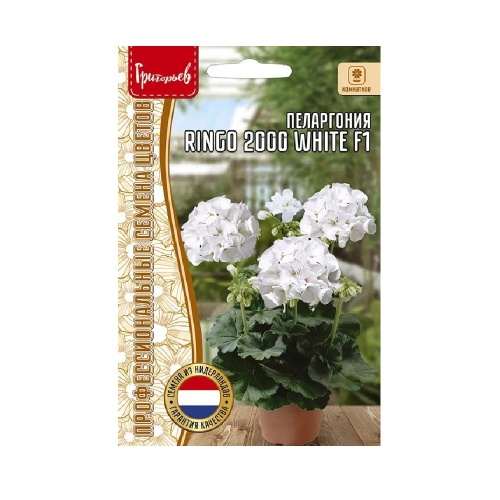 Пеларгония Ringo 2000 White F1 3 шт _10