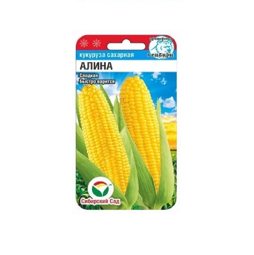 Кукуруза Алина  6шт_10