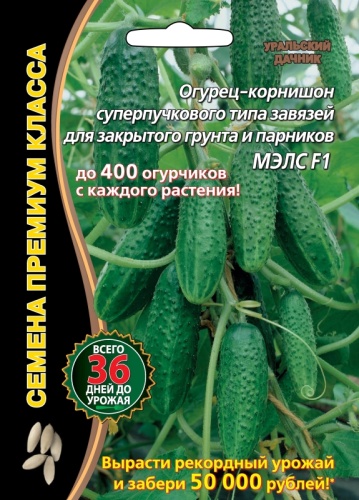 Огурец МЭЛС F1  5шт_10