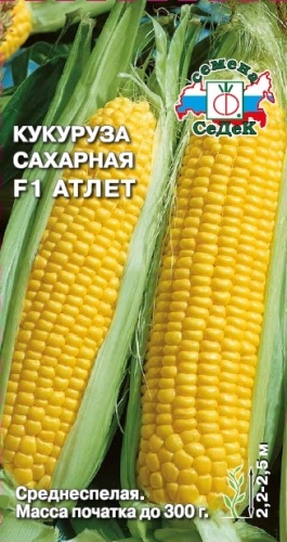 Кукуруза Атлет F1  4гр_10