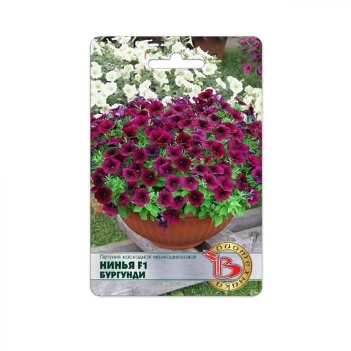 Петуния Нинья F1 Бургунди каскадная мелкоцветковая  5шт_5_10