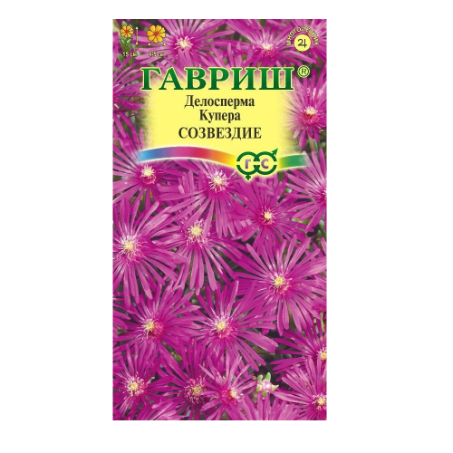 Делосперма купера Созвездие 7-10 шт_10