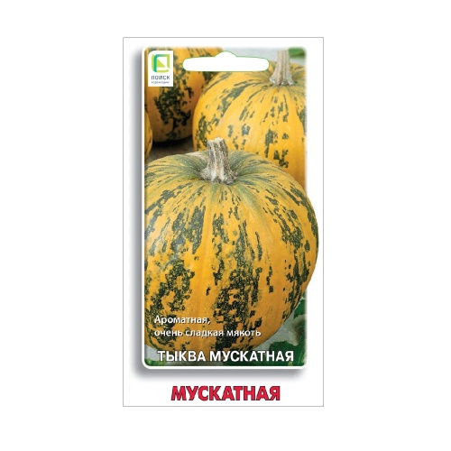 Тыква Мускатная 10шт _10