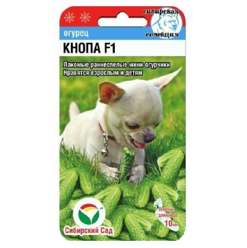 Огурец Кнопа F1  7шт_10