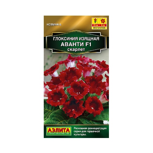 Глоксиния Аванти F1 Скарлет 5шт  _10