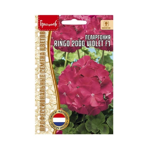 Пеларгония Ringo 2000 Violet F1 3 шт _10