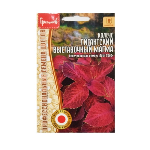 Колеус Гигантский Выставочный Магма 3шт_10
