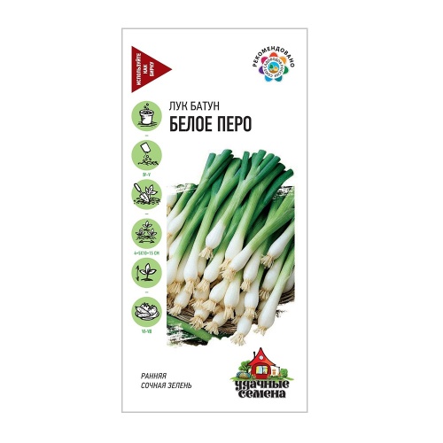 Лук батун Белое перо на зелень _Удачные семена  0_5гр_10