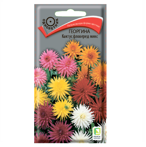 Георгина Кактус фловеред микс  0_2гр_10