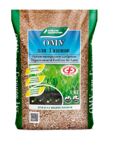 Снимок экрана 2026-01-16 103319