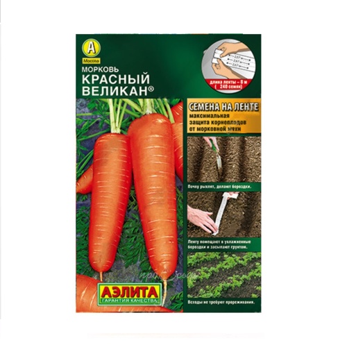 Морковь Красный великан 8м  _10
