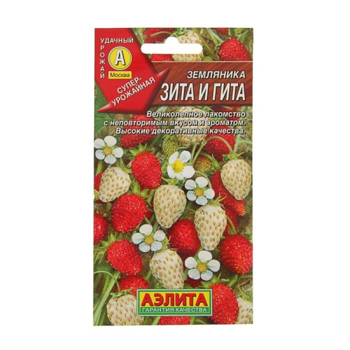 Земляника Зита и Гита 0_04гр  _10