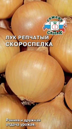 Лук репчатый Скороспелка  0_3гр_10