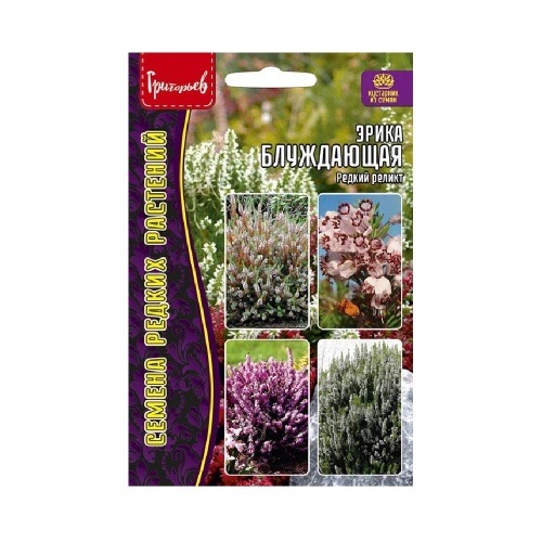 Эрика блуждающая (редкий реликт)  15шт_10